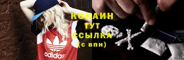 хмурый Гусев