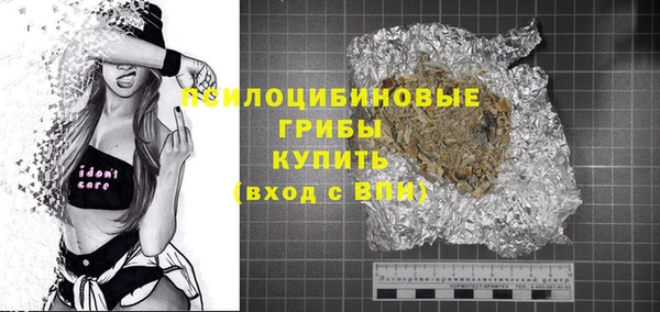 мяу мяу мука Горняк